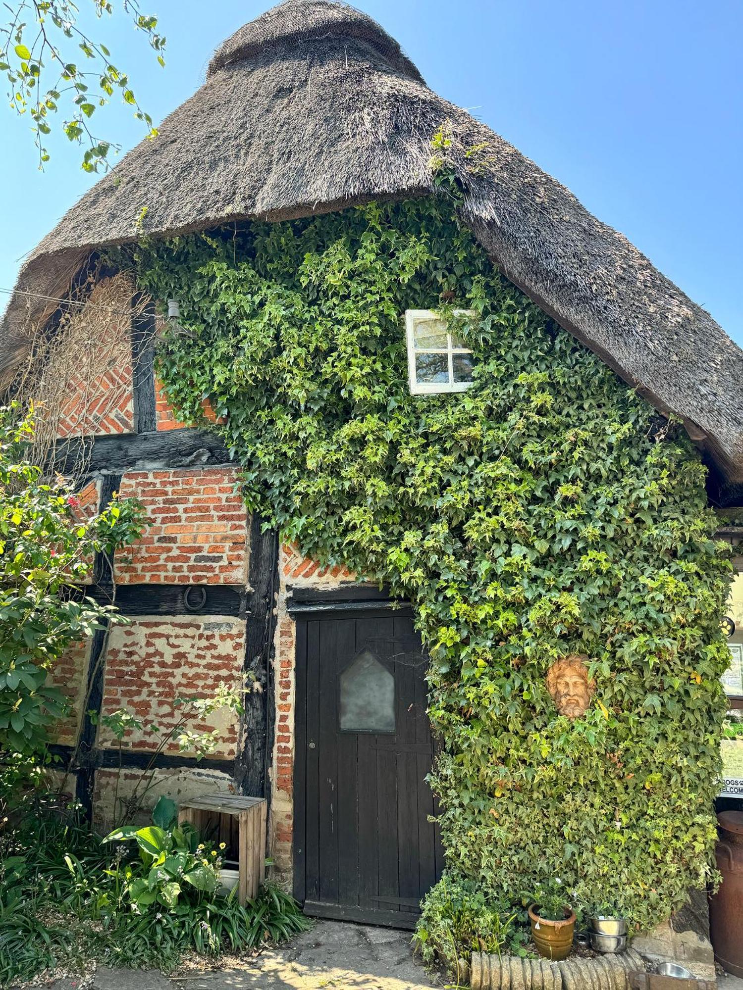 Thatched Hotel Brockenhurst